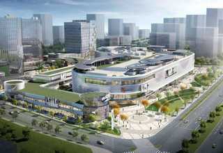 兰州进出口木材定制