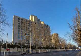 白银环保材料装饰平均价格